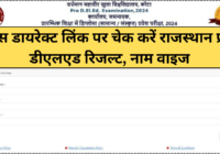 Rajasthan BSTC Result 2024