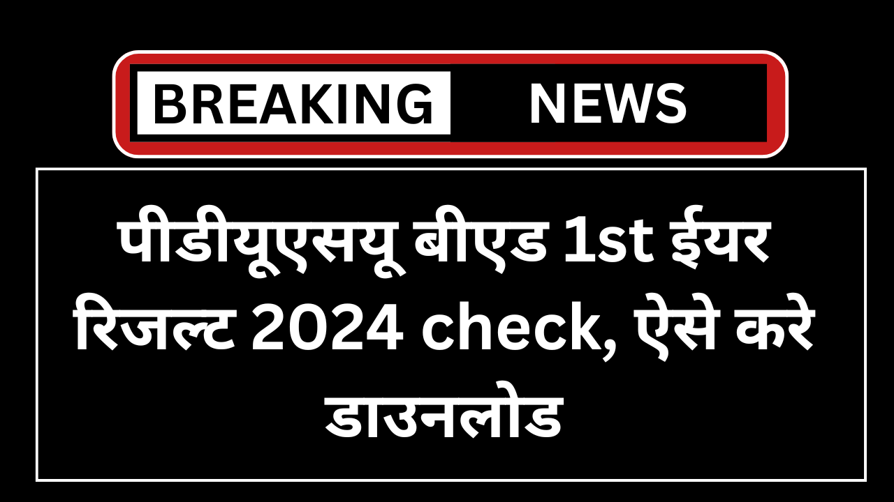 PDUSU BEd 1st Year Result 2024