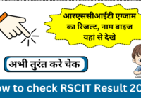 RSCIT Result 2024