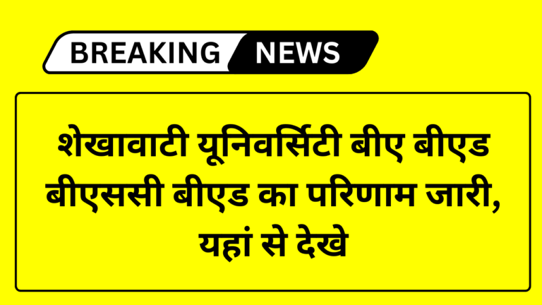 Shekhawati University BA BEd Result 2024