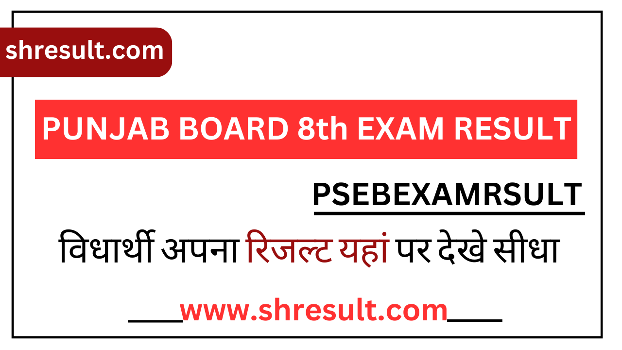 Punjab Board 8th Result 2025
