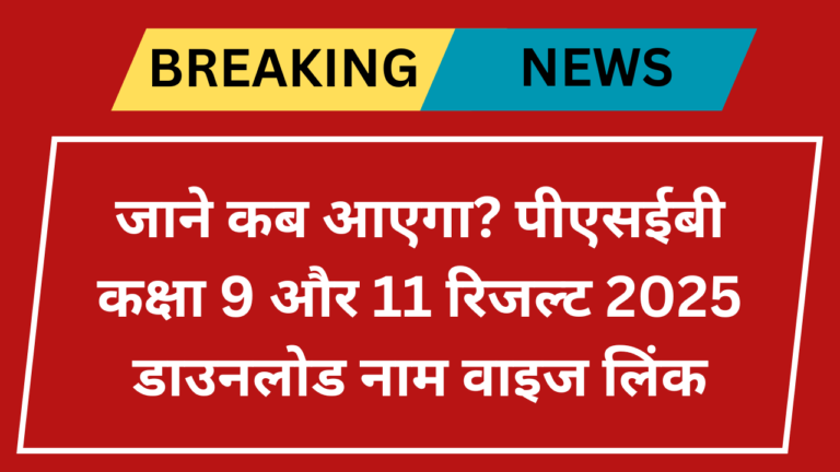 Punjab Board 9th 11th Class Result 2025