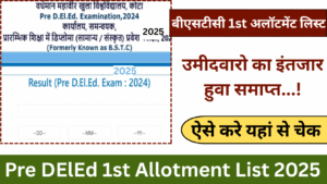 Rajasthan Pre DElEd 1st Allotment List 2025
