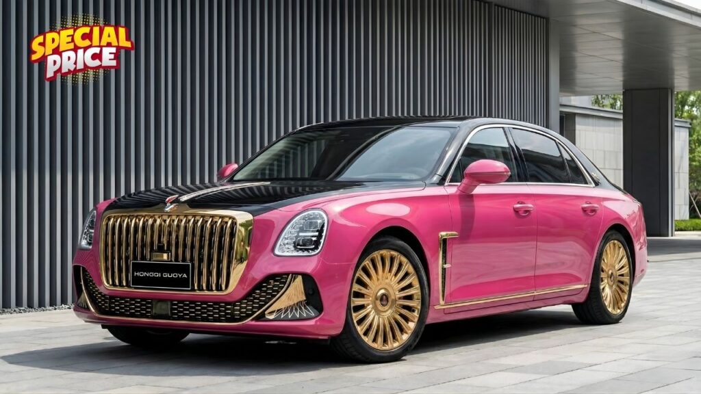 Hongqi Guoya Model New Revealed